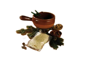 Appareil à fondue