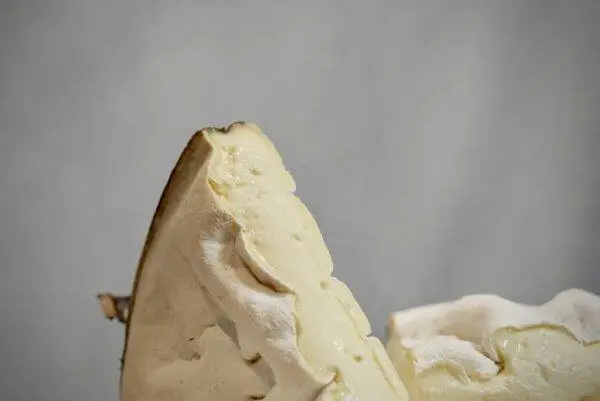 Mont d'Or AOP - Format coupe